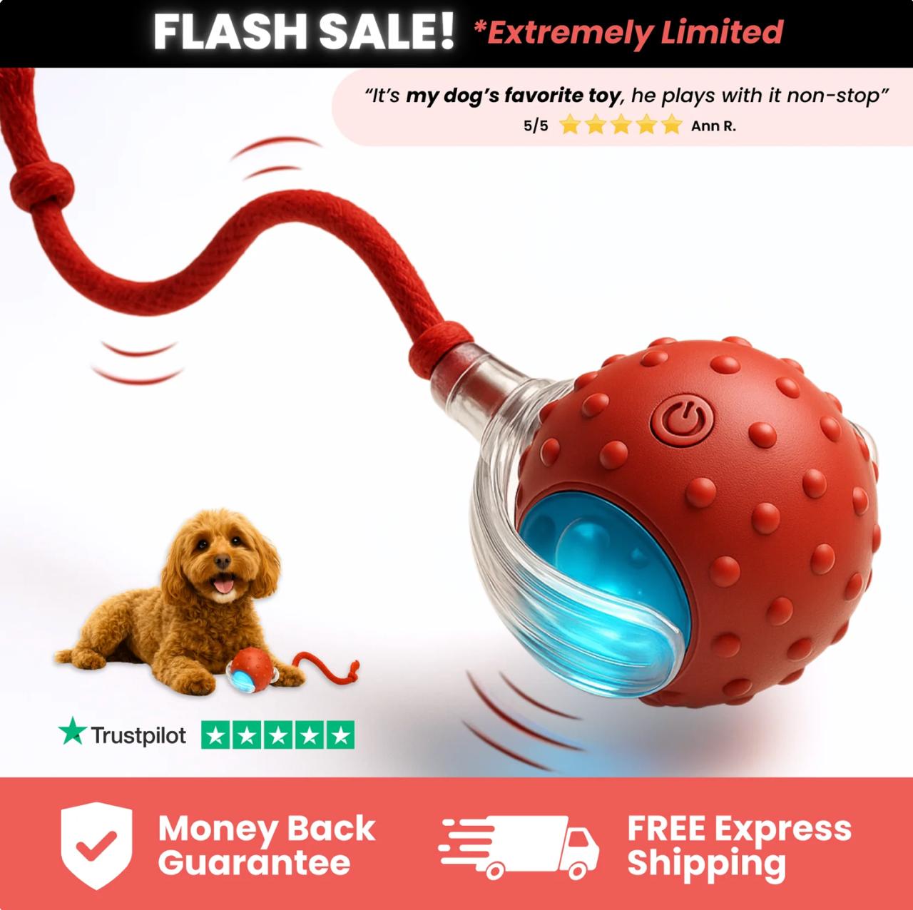 Chase Mate (2-Pack)