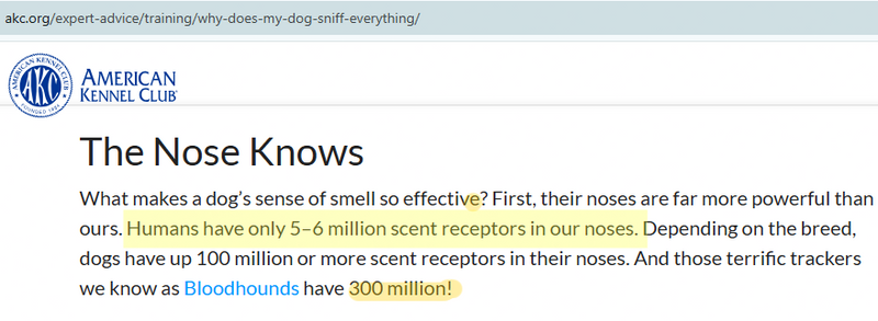 The Reason Your Dog Keeps Missing The Pad Has