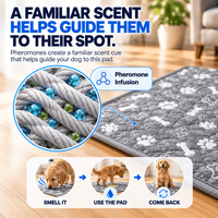 NovaPaw Pup Pad
