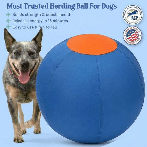 NovaPaw Herding Ball (Buy 1)